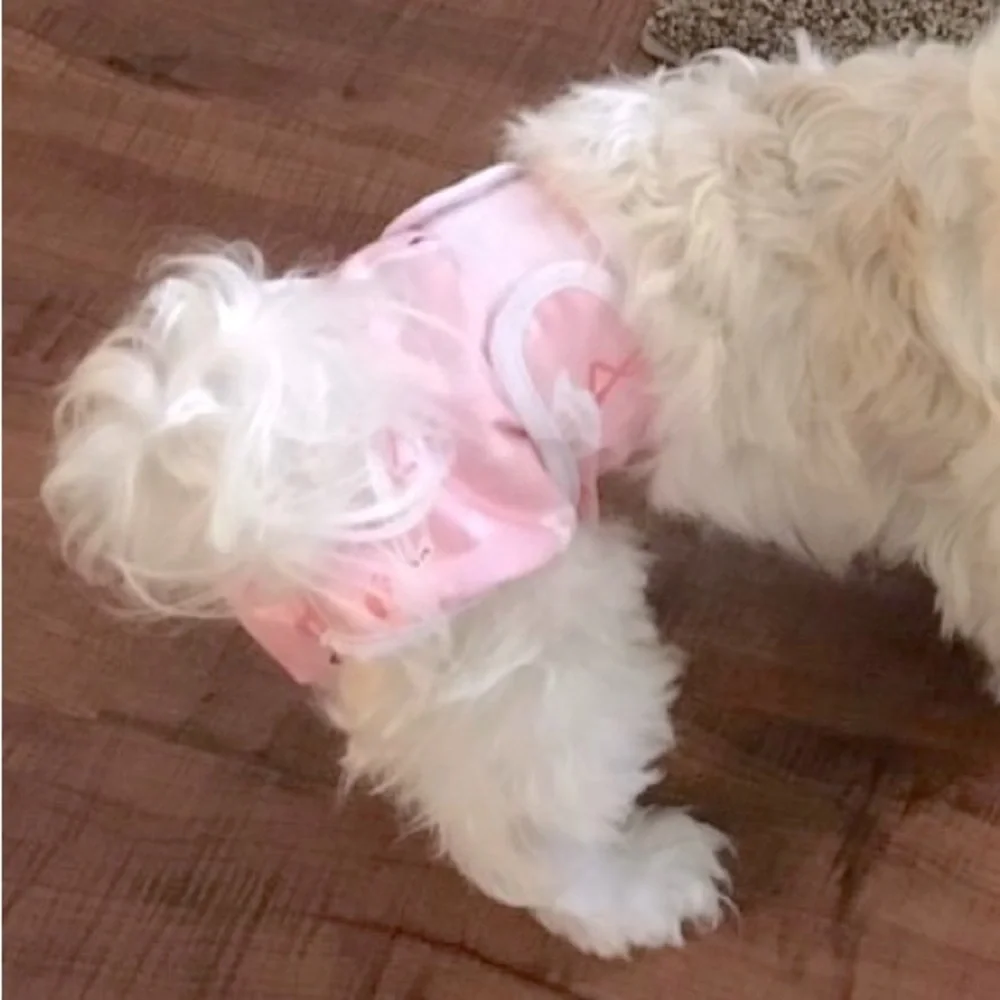 Extra Small Doggie Diapers (2pack)